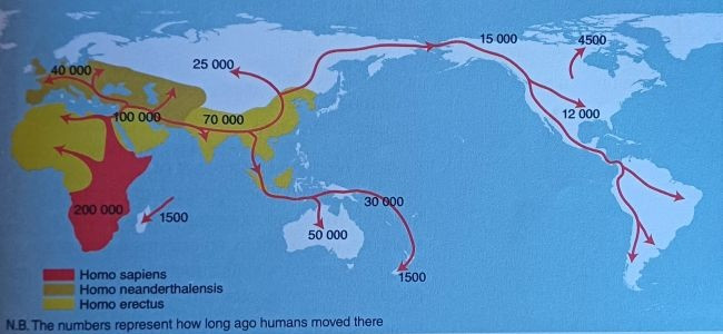 Migration Patterns 