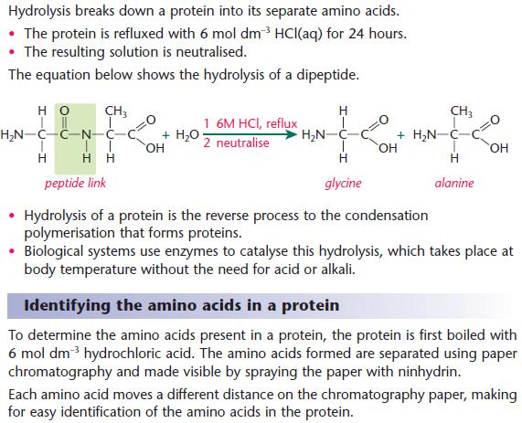 Amino Acids Chemistry A Level Revision