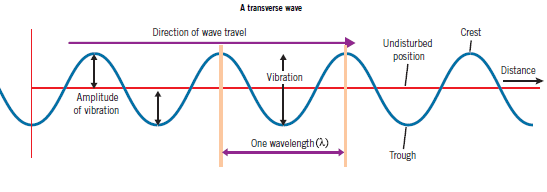 wave examples in physics science